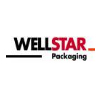 logo Wellstar